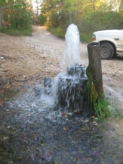 A flowing Artesian Well. Credit: Alton Woods (taken in 2011). Flickr: https://www.flickr.com/photos/myboogers/6196578705