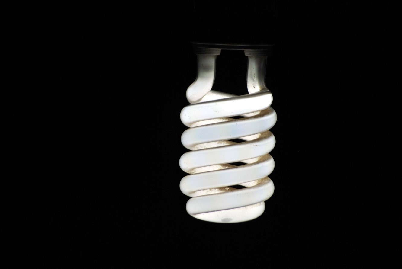 IMAGE: Typical CFL (compact fluorescent light). Credit: pixabay.com