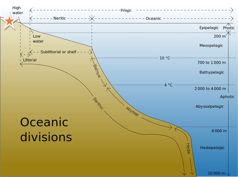 Diagram showing the divisions of the world’s oceans. The red star indicates the location of the tub boat wreck at about 30 m below the surface of the sea. (Image by K. Aainsqatsi).